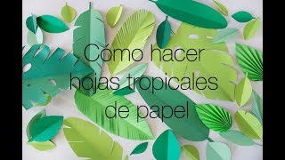 Cómo hacer Hojas Tropicales de papel [upl. by Wyndham]