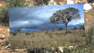 The Savanna Biome in South Africa [upl. by Lamar240]