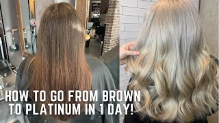 How to go from Brown to Platinum in one day  color correction tutorial transformation demi hair dye [upl. by Nell715]