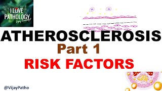 ATHEROSCLEROSIS part 1 Definition epidemiology amp Risk factors [upl. by Oidiple]