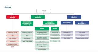 USMLE Pharmacology Hematinics [upl. by Gratiana350]