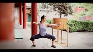 8 Brocades Qigong Practice [upl. by Peednam519]