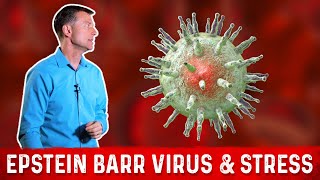 What is Epstein Barr Virus EBV  Symptoms amp Treatment – Dr Berg [upl. by Nylhtac]