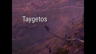 Assassins Creed Odyssey  Taygetos Overlook  Lakonia  synchronization [upl. by Sternberg]