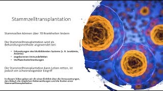 Stammzelltransplantation  Voraussetzungen Ablauf Nebenwirkungen und Kosten [upl. by Anillehs]