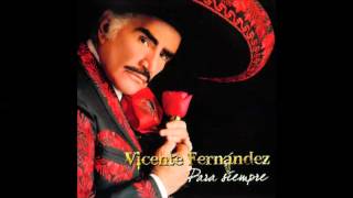 Vicente Fernandez El ultimo en la fila [upl. by Ia]