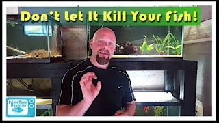 How to Lower Nitrites in an Aquarium [upl. by Mulderig709]