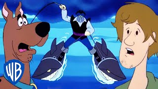 ScoobyDoo  Shark Attacks 🦈  wbkids [upl. by Ganiats413]