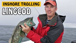 Inshore Lingcod Trolling Tactics  Fishing with Rod [upl. by Eittak]