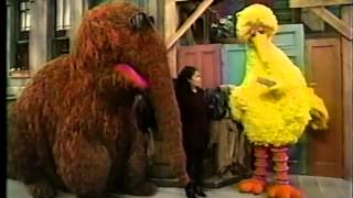 Sesame Street  Big Bird Wants a New Name Part 1 [upl. by Salvidor]