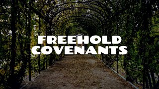 Introduction to Freehold Covenants Part 1  Land Law [upl. by Hillegass805]