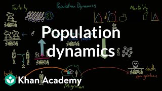 Population dynamics  Society and Culture  MCAT  Khan Academy [upl. by Ellenij]