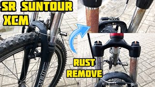 How to repair SR SUNTOUR XCM rusty fork legs [upl. by Nahtaoj]