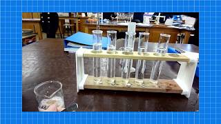 A level Biology ENZYMES REQUIRED PRACTICAL [upl. by Sucramed]