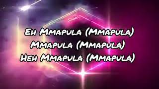 Busta 929  Mmapula Lyrics [upl. by Enyalahs]