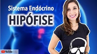 Hipófise Sistema Endócrino  Anatomia e etc [upl. by Hirai]