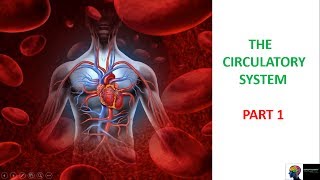 ICSE Class 10th Biology  Circulatory SystemPart 1 [upl. by Artie]