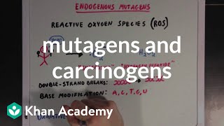 Mutagens and carcinogens  Biomolecules  MCAT  Khan Academy [upl. by Bigner]