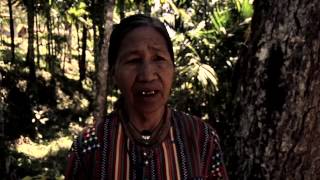 Tribal sounds of the Philippines • IFUGAO [upl. by Dadelos941]