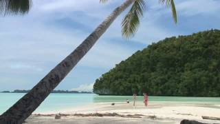 PALAU A Taste of Paradise [upl. by Lynette935]