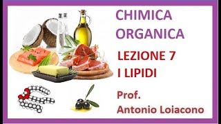 CHIMICA ORGANICA  Lezione 7  I Lipidi [upl. by Andriana]