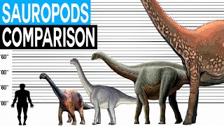 Dinosaur Size Comparison  Sauropods [upl. by Annayhs]