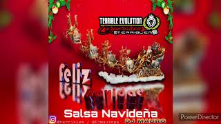 Salsa Navideña Mix 2020  Dj Mauro Ft Terrible Evolution Corporation [upl. by Anatak661]