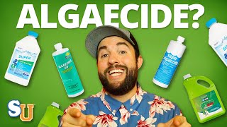 The TRUTH About Using ALGAECIDE In Your POOL [upl. by Attekal892]