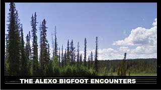 The Alexo Bigfoot Encounters  Paranormal Stories [upl. by Narcis]