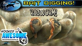 Awesome Bait Digging Tips  Ragworm  TAFishing [upl. by Cointon388]