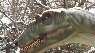 Calgary Zoo Dinosaurs Alive [upl. by Anilat561]