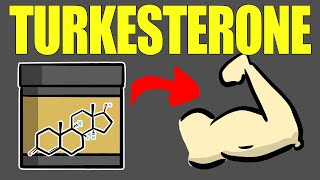 The Sad Truth About Turkesterone [upl. by Syxela]