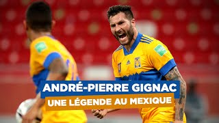 Tigres  AndréPierre Gignac une légende au Mexique [upl. by Bouley]