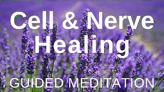 Guided HEAL Meditation  Cell and Nerve Healing Self Healing Meditation [upl. by Yenatirb]