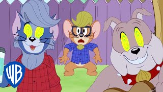 Tom amp Jerry  Tom Becomes Cool  WB Kids [upl. by Putscher457]