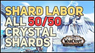 Shard Labor WoW All Anima Crystal Shards [upl. by Ahl]