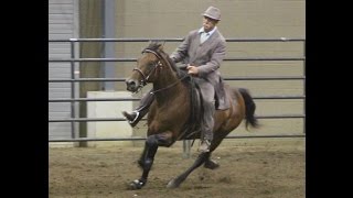 National Racking Horse Association Alabama State Championship Rainsville AL [upl. by Khalsa]