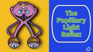 The Pupillary Light Reflex [upl. by Anoli]