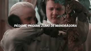 Zumo de mandrágora —PiterG LETRA Drarry [upl. by Matty]