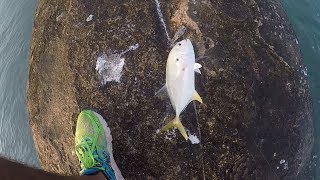 Consejos y Tips para pescar Jureles jack crevalle [upl. by Tollman]