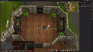 OSRS Thieving Fruit stalls 425k Thieving xph level 25 Thieving [upl. by Ainecey]