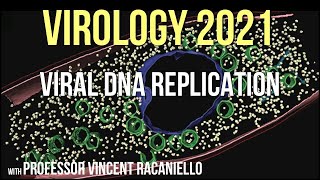 Virology Lectures 2021 8  Viral DNA Replication [upl. by Annmaria]