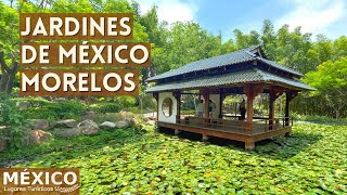 Jardines de México el paraíso de las flores en Morelos en 4K [upl. by Shellans822]