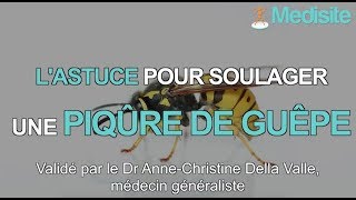 Piqûre de guêpe  lastuce pour calmer la douleur [upl. by Kalmick]