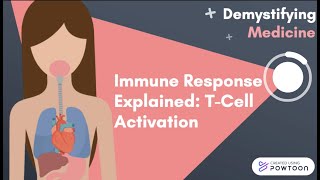 Immune Response Explained TCell Activation [upl. by Ardnoik798]