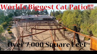 Worlds Largest Cat Patio Catio  Over 7000 Square Feet [upl. by Hole]