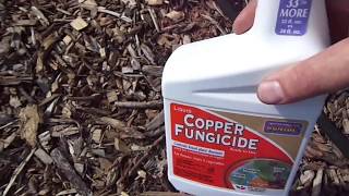 Copper Fungicideproduct review [upl. by Joerg]