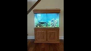 Make A DIY Fish Tank Stand  Aquarium Stand [upl. by Airottiv823]