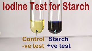 Iodine Test For Starch Practical Experiment [upl. by Ssegrub]