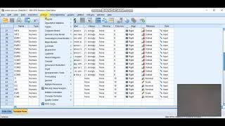 How to do Correlation analysis for likert scale data in SPSS  Amharic ኮሪሌሽን አማረኛ ቲሪያል [upl. by Aivul824]